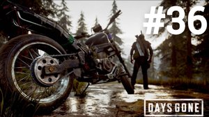 Days Gone прохождение #36