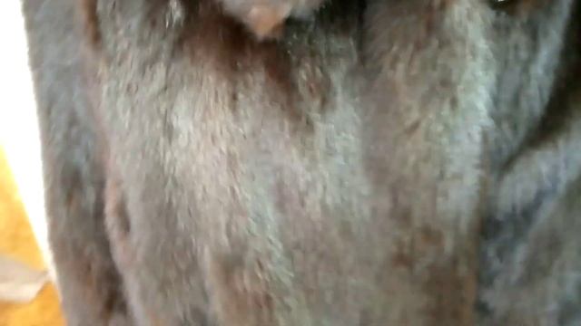 Как отремонтировать старую #норковую шубу. видео(3)