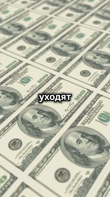 «800 миллионов долларов в год — столько стоит производ?