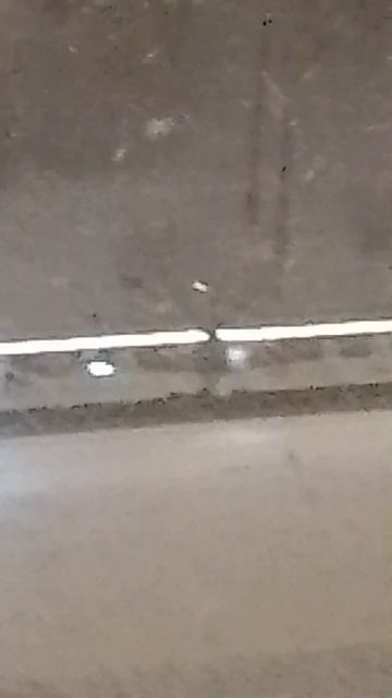 поезд дед мороза в санкт-петербурге 6 января смотреть онлайн