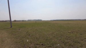 Гуляем по дернвне. Весна в деревне