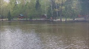 Спиннинг и закидушка. Клёвое место, Лосиный остров, нижний водоём.