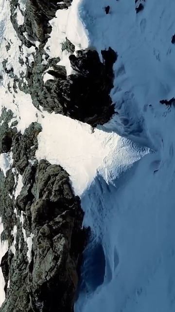 А Вы помните эту песню??? # #городзолотой #аквариум #бори смотреть онлайн