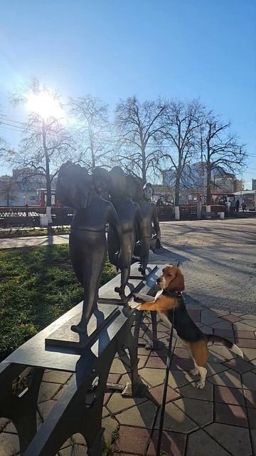 Как Марвин в Рязани погулял, грибы с глазами обнюхал, а смотреть онлайн