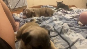 А нука все вместе