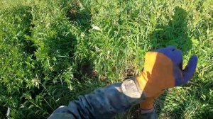 ОДИН СКРОМНЫЙ ВЫЕЗД ИЗ СОТНИ УДАЛЕННЫХ - ВОТ ОНИ ДЕЙСТВИТЕЛЬНО ВЫБИТЫЕ ОТ МЕТАЛЛА МЕСТА!