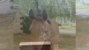 окрестности