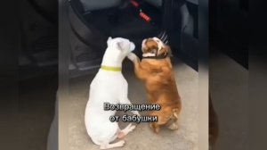 Домой после каникул