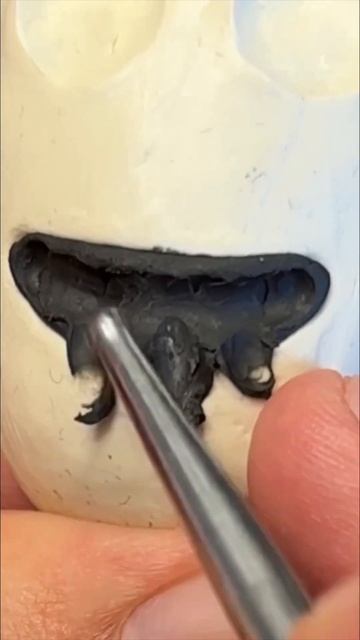 I Made Zoonomaly #sculpting #plasticine #clayart #zoonomaly смотреть онлайн