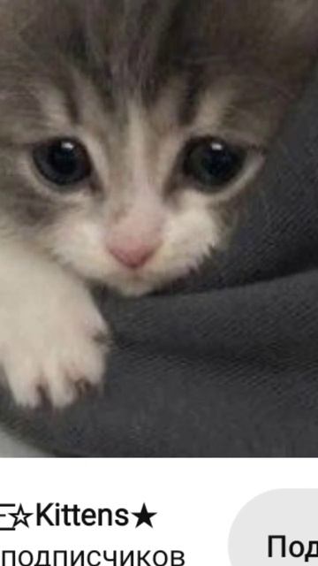 2 часть уже тут!!! смотреть онлайн