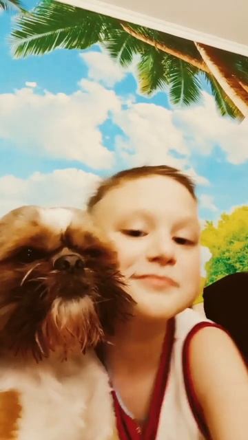 собака не хочет гулять #рекомендации #shortsvideo #мойканал смотреть онлайн