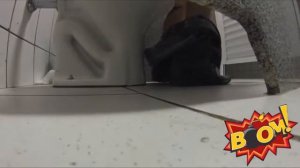 Жесткии пранк в туалете