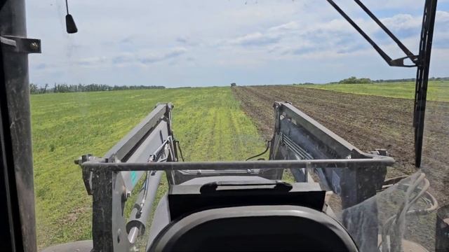 сеем гречку в пылей lovol 130