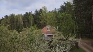 Как выкурить крысу... ВЕДЬМИНА ИЗБА ИНГА ХОСРОЕВА