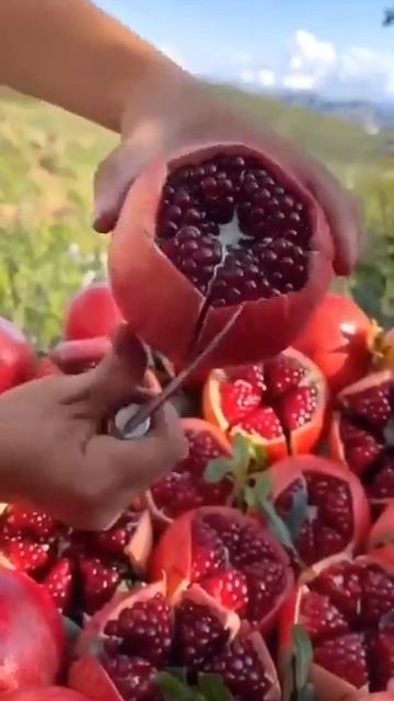 Как правильно чистить гранат.. смотреть онлайн