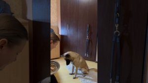 Импульс-контроль.  Тренинг.