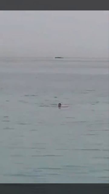 Нападение акулы в Египте с летальным исходом для чело? смотреть онлайн