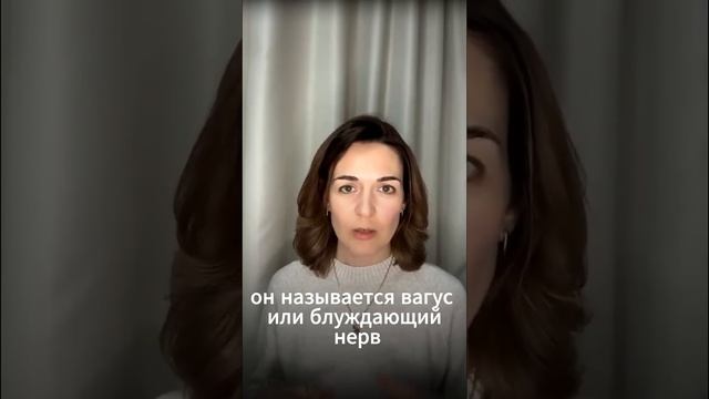 Почему выдох длиннее вдоха успокаивает? Это не случайность!