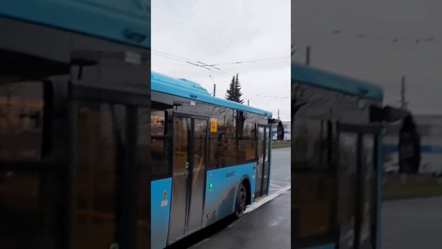 Автобусы в Ручьях #санктпетербург #транспорт #автобус смотреть онлайн