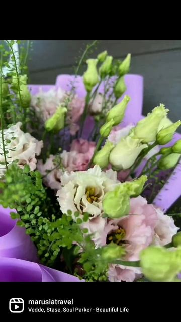 #Мама - лучшее что случится за всю твою #жизнь на #земле! смотреть онлайн