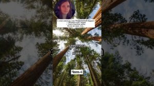 С этого месяца у нас РАЗДЕЛЬНЫЙ бюджет — объявил муж. #