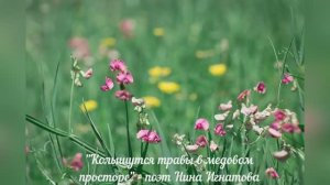 "Колышутся травы в медовом просторе" - поэт Нина Игнатова