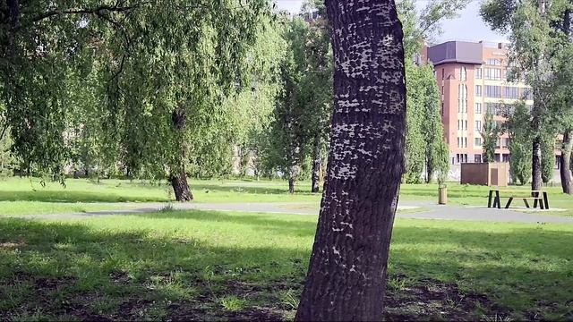 Зона отдыха  набережная реки Урал (ул. Красная площадь) Видео Виктор Поживин 10.5.25.