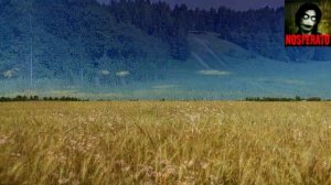 Дозвалась.  Страшные истории на ночь 🫣🫣🫣