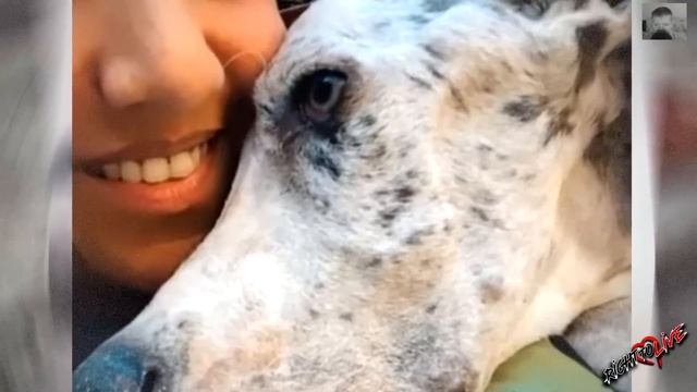 Умирающий пес не мог больше есть! Люди были удивлены, ч смотреть онлайн