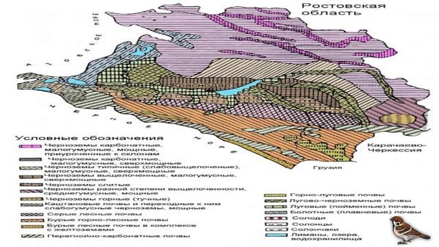 Краснодарский край Природа