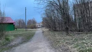 Прогулка по полюшку не удалась, но по сельским тропам мы пройдемся!