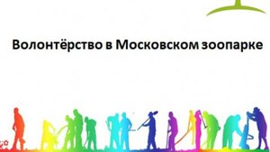 Волонтёрство в Московском зоопарке