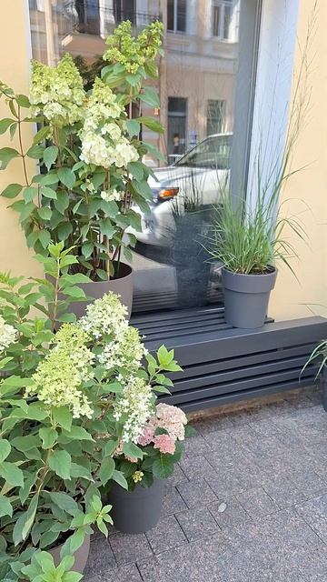 Цветочный💐#Санкт-Петербург#travel смотреть онлайн