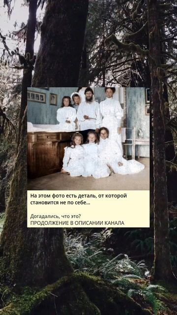 0_На этом фото есть деталь, от которой становится не по смотреть онлайн