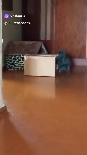 Кто-то слишком много ест смотреть онлайн