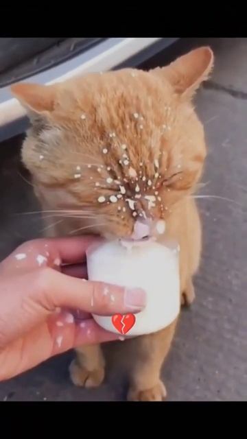 *здесь могла быть ваша реклама* #врек #мем #врекомендац? смотреть онлайн