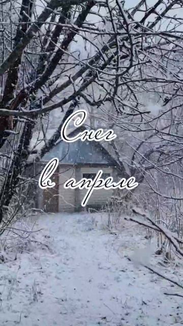 Снег в апреле ❄️🏠 смотреть онлайн