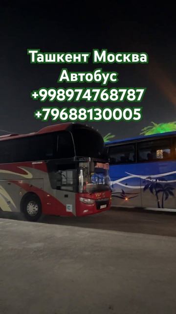 Ташкент Москва Автобус #автобусы #волгоград #москва #г? смотреть онлайн