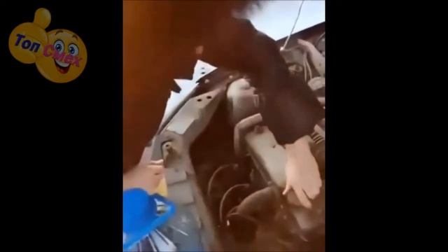 девушки в ударе смотреть онлайн