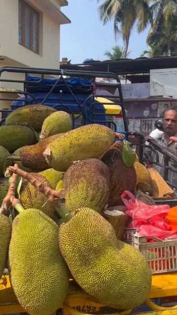 Почему-то в Индии их продают незрелыми смотреть онлайн