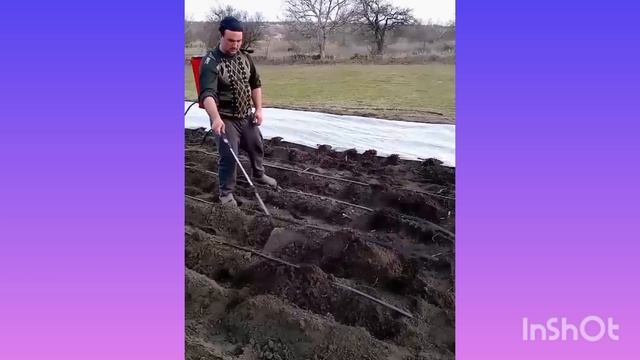 Обробка городу#село#картошка#мотоблок#farming#актив#горо?