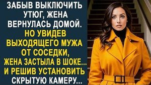 Забыв выключить утюг, жена вернулась домой. Но увидев выходящего мужа от соседки, жена застыла...