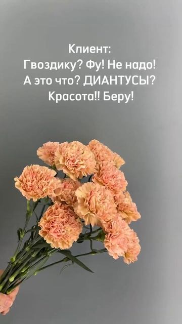 Гвоздики или диантусы?) #доставкацветов #flowershoponline #flowers
