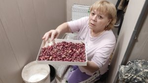 Хроника дня //всё мне надо с Джум, буду мудрить 😄🙋// пирог с брокколи //