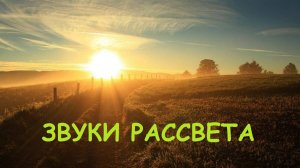 Звуки рассвета. Звуки природы.