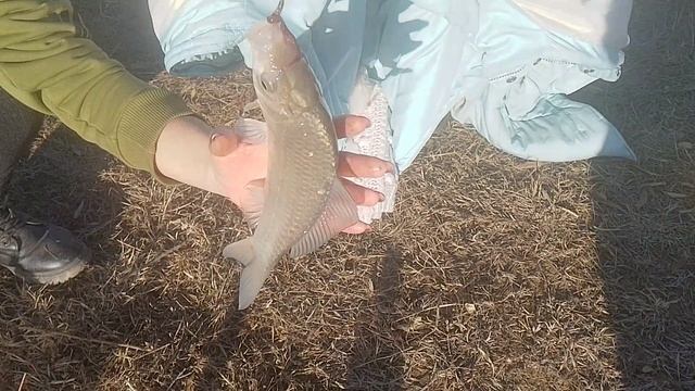 Жестко упал.Поймали огромного Карася в Бишкеке в Кыргызстане. Рыбалка в Киргизии