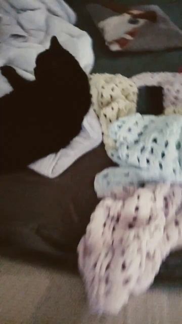 Короче у меня включены мультики Просто у меня есть сес смотреть онлайн