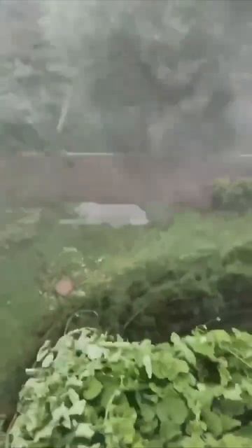 Погода в Москве смотреть онлайн