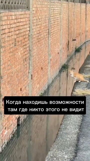 Кто ищет тот всегда найдет смотреть онлайн