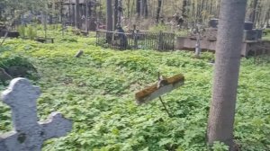 древние могилы 1800х годов лютеранское кладбище